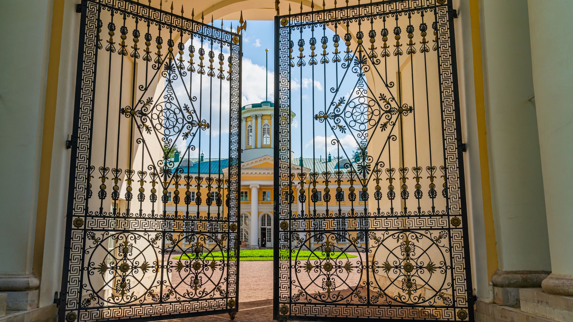 Elegant ornamental iron gate